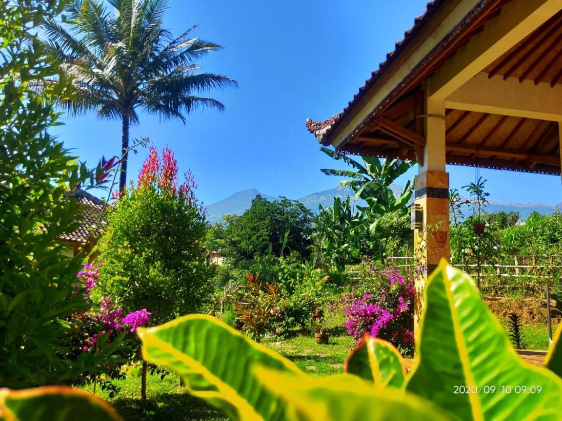 Bale Sebaya Bungalows Senaru Esterno foto